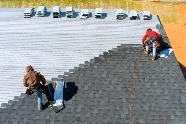 Best Roof Maintenance Services  in Vienna, GA