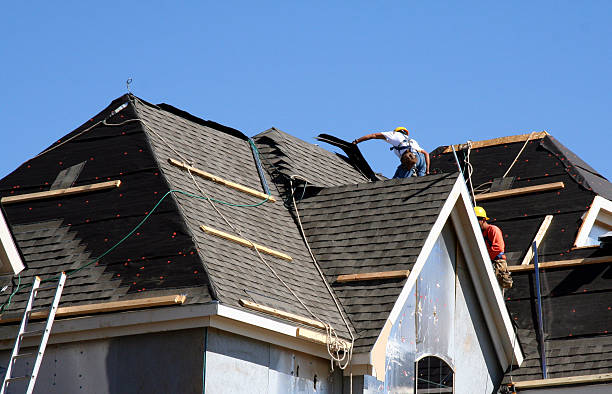Best Roof Gutter Cleaning  in Vienna, GA