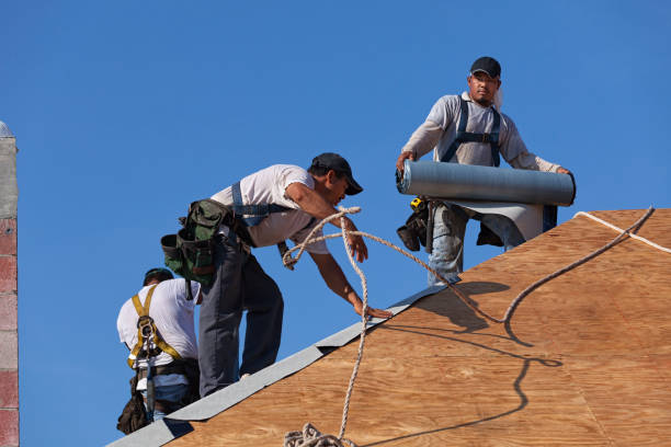 Best Emergency Roof Repair  in Vienna, GA