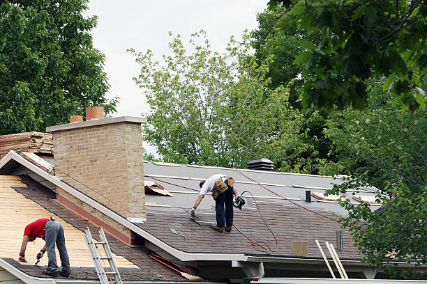 Best Roof Repair Services  in Vienna, GA