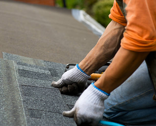 Best Residential Roofing Contractor  in Vienna, GA