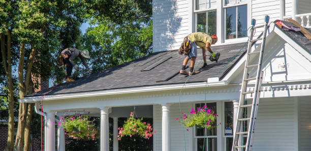 Best Roof Leak Repair  in Vienna, GA