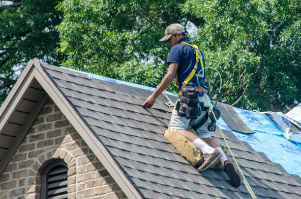 Best Shingle Roofing Installation  in Vienna, GA