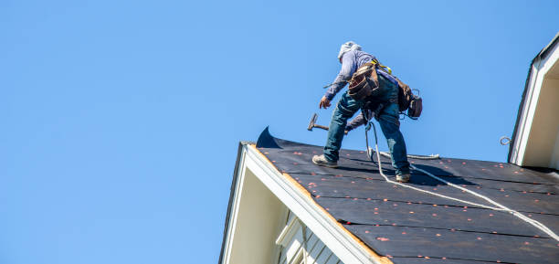 Best Roof Gutter Cleaning  in Vienna, GA